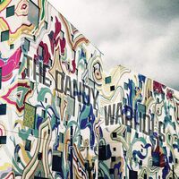 The Dandy Warhols - Why You So Crazy vinyl cover