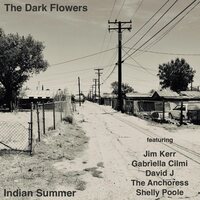 The Dark Flowers - Indian Summer (Clear) vinyl cover