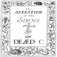 The Dead C - Operation Of The Sonne