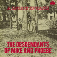 The Descendants of Mike & Phoebe - The Descendants of Mike and Phoebe - A Spirit Speaks vinyl cover