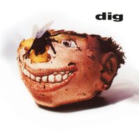The Dig - Dig  vinyl cover