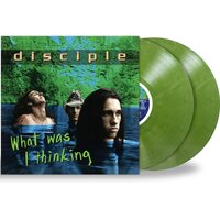 The Disciple - What Was I Thinking vinyl cover