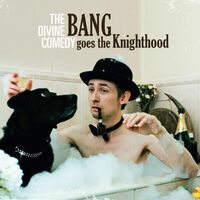 The Divine Comedy - Bang Goes The Knighthood vinyl cover