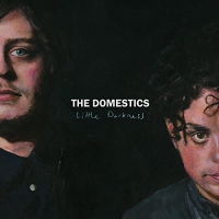 The Domestics - Little Darkness Includes Download vinyl cover