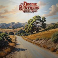 The Doobie Brothers - Walk This Road vinyl cover