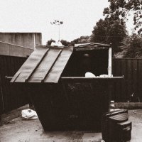 The Doppelgangaz - Dumpster Dive vinyl cover