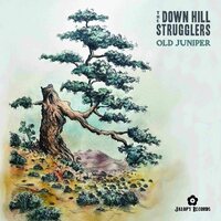 The Down Hill Strugglers - Old Juniper vinyl cover