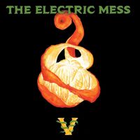 The Electric Mess - Electric Mess vinyl cover