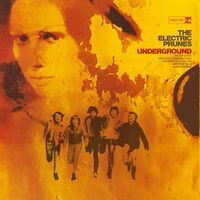 The Electric Prunes - Underground vinyl cover