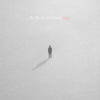 The Electric Soft Parade - Stages vinyl cover