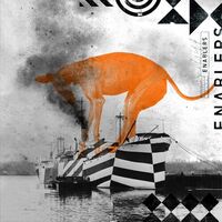 The Enablers - Some Gift vinyl cover