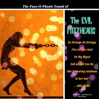 The Evil Fuzzheads - Fuzz-O-Phonic Sound Of vinyl cover