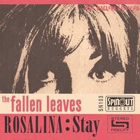 The Fallen Leaves - Rosalina / Stay vinyl cover