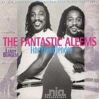 The Fantastic Aleems - Stepping Out vinyl cover