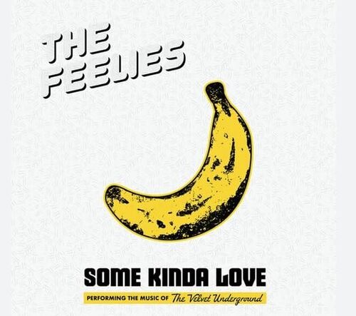 The Feelies - Some Kinda Love: Performing The Music Of The Velvet Underground vinyl cover