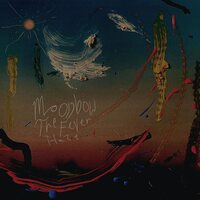 The Fever Haze - Moonbow vinyl cover