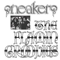 The Flamin' Groovies - Sneakers (Red) vinyl cover