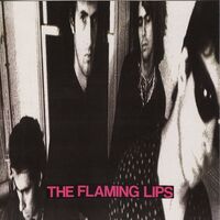 The Flaming Lips - In A Priest Driven Ambulance vinyl cover