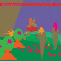 The Flaming Lips - The Flaming Lips vinyl cover