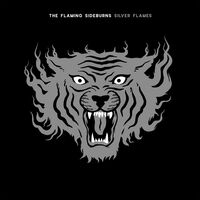 The Flaming Sideburns - Silver Flames vinyl cover