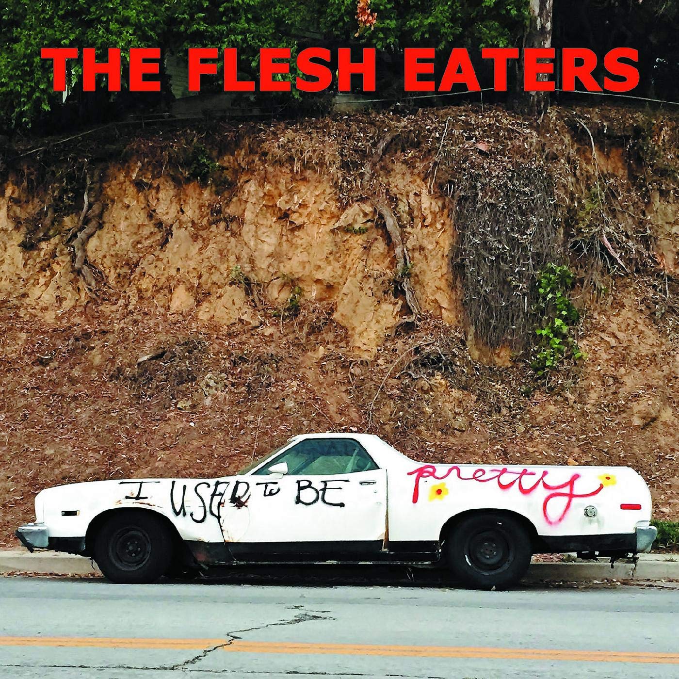 The Flesh Eaters - I Used To Be Pretty vinyl cover