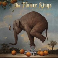 The Flower Kings - Waiting For Miracles Black vinyl cover