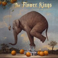 The Flower Kings - WAITING FOR MIRACLES vinyl cover