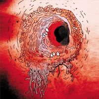 The Flying Luttenbachers - Terror Iridescence vinyl cover