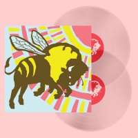 The Format - B-Sides & Rarities vinyl cover