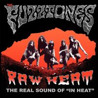The Fuzztones - Raw Heat: Real Sound Of In Heat vinyl cover