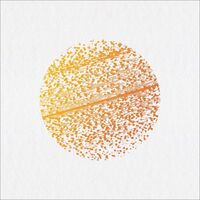 The Gathering - Beautiful Distortion vinyl cover