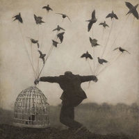 The Gloaming - 2 vinyl cover