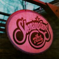 The Goose - Shenanigans Nite Club vinyl cover
