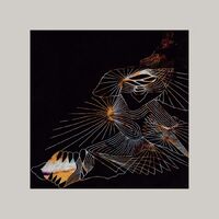 The Grid - Decomposing Force vinyl cover