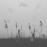 The Grift - Budet vinyl cover