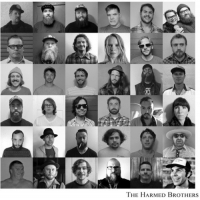 The Harmed Brothers - The Harmed Brothers vinyl cover