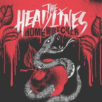 The Headlines - Homewrecker (Black With White) vinyl cover