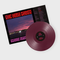 The Holy Ghost - Ignore Alien Orders vinyl cover