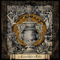 The Home Team - The Crucible of Life Cloud Burst vinyl cover
