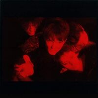 The House Of Love - Shine On vinyl cover