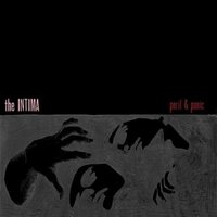 the Intima - Peril & Panic vinyl cover