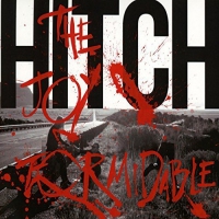 The Joy Formidable - Hitch vinyl cover