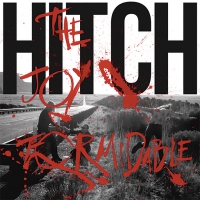 The Joy Formidable - Hitch vinyl cover