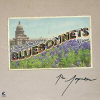The Joymakers - Down Where the Bluebonnets Grow vinyl cover