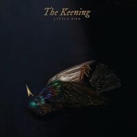 The Keening - Little Bird vinyl cover