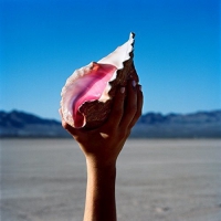 The Killers - Wonderful Wonderful vinyl cover