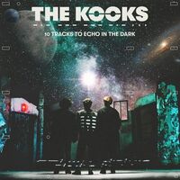 The Kooks - 10 Tracks To Echo In The Dark vinyl cover