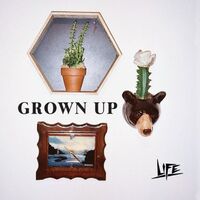 The Life - Grown Up vinyl cover