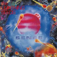 The Lightning Seeds - Sense (Blue Oasis) vinyl cover