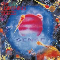 The Lightning Seeds - Sense vinyl cover